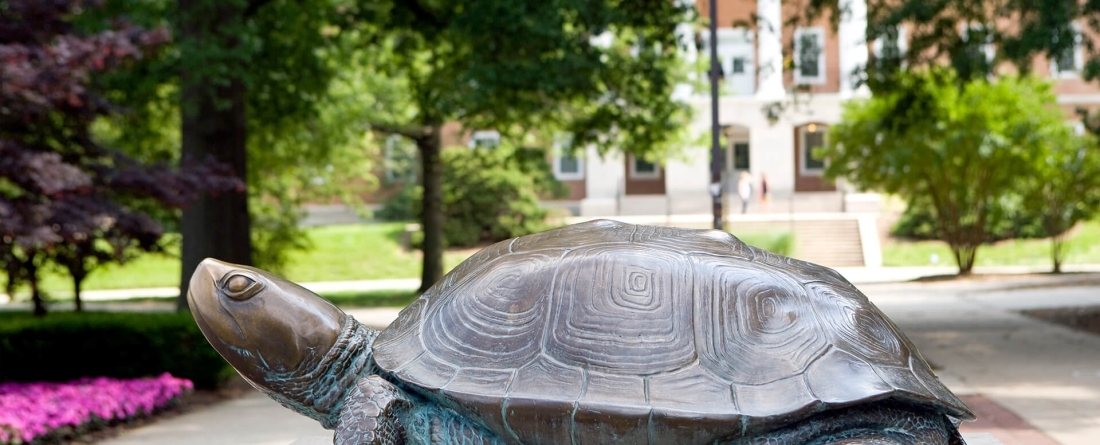 Testudo