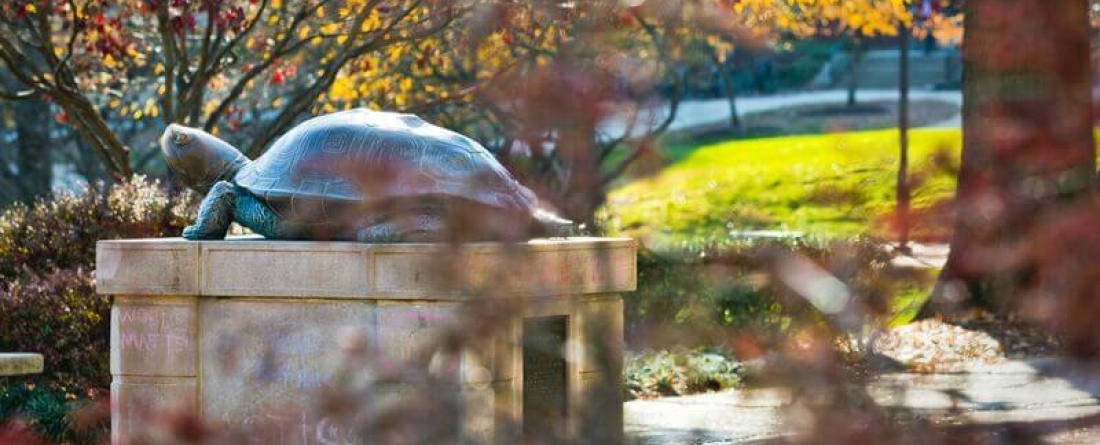 A beautiful sunny day with Testudo the terrapin statue in the foreground. 