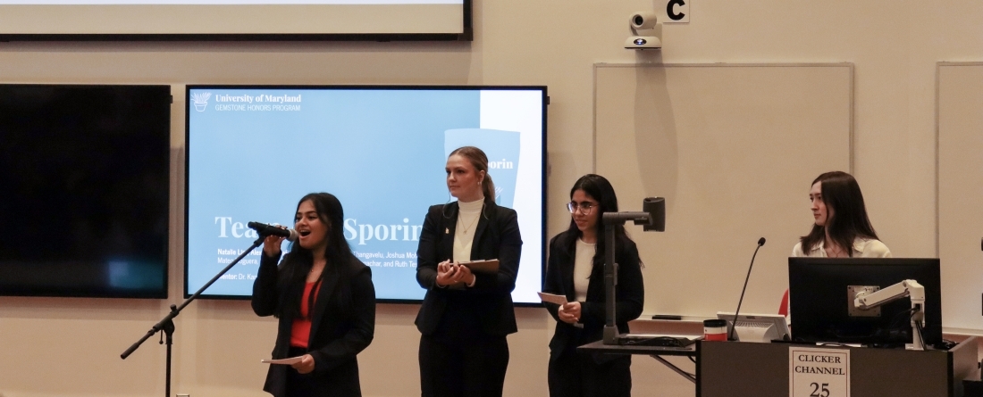 Gemstone students present semester long research