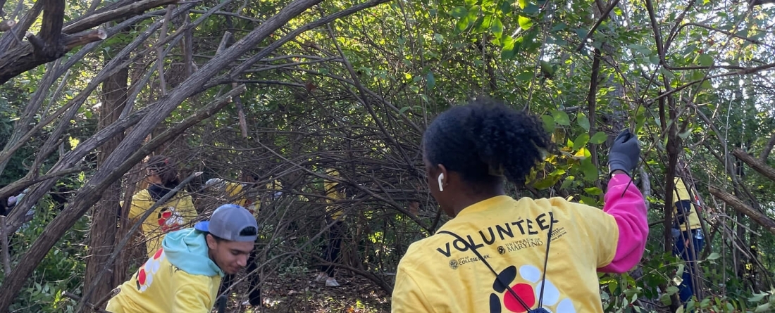 Two students in yellow shirts volunteering in a forrested park