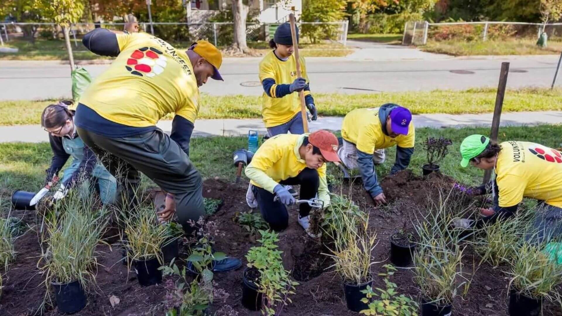 UMD community members working on Good Neighbor Day